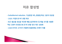 세라믹 재료공정 -SiC-16