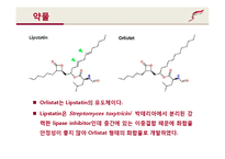 약품명(성분명) 제니칼-Xenical(Orlistat)-4
