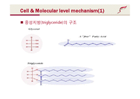 약품명(성분명) 제니칼-Xenical(Orlistat)-9