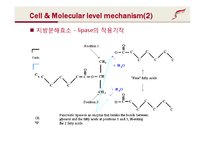 약품명(성분명) 제니칼-Xenical(Orlistat)-10