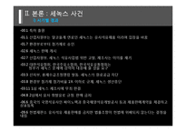 [대체에너지] 세녹스 사건-7