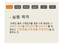 [반응현상실험] 고정층과 유동층의 흐름현상-2