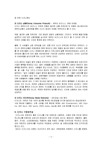 디즈니랜드의 세계화 성공사례 및 실폐사례-5