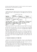 노스페이스의 마케팅전략 및 발전방향 제안-4