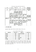 노스페이스의 마케팅전략 및 발전방향 제안-5