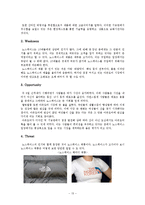 노스페이스의 마케팅전략 및 발전방향 제안-13