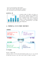 [마케팅] 항공운송 서비스 -저가항공, 대한항공 & 아시아나항공-12