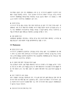 [마케팅] 항공운송 서비스 -저가항공, 대한항공 & 아시아나항공-13