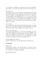 [마케팅] 항공운송 서비스 -저가항공, 대한항공 & 아시아나항공-16