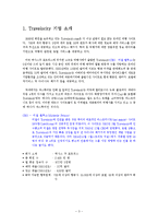 [인터넷비즈니스] Travelocity.com 트레블로시티 기업분석-3
