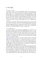 [인터넷비즈니스] Travelocity.com 트레블로시티 기업분석-6