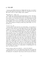 [인터넷비즈니스] Travelocity.com 트레블로시티 기업분석-8