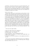 [인터넷비즈니스] Travelocity.com 트레블로시티 기업분석-10