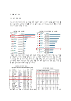 [국제마케팅] 본비빔밥 인도 시장 진출 계획서-4