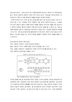 [생산혁신] 캐논 생산혁신의 성공요인-9
