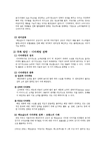 맥도날드의 글로벌마켓 진출 전략과 마케팅 프로그램-10