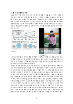 경쟁관계 명품가방 브랜드들의 경영학적 분석-3