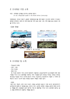 대한항공의 팀제-2
