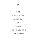 대한항공의 팀제-9