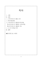 사우스웨스트항공 펀마케팅 사례-2