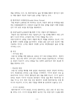 [국제경영] 현대자동차 글로벌 경영전략-6