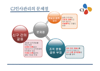 [인사제도] CJ 인사관리 문제점과 해결방안-14
