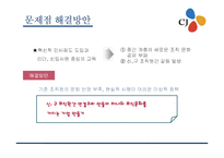 [인사제도] CJ 인사관리 문제점과 해결방안-15