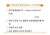 [국제통상협상론] WTO 통상분쟁해결제도와 그 절차-5