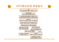 [국제통상협상론] WTO 통상분쟁해결제도와 그 절차-7