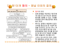 [국제통상협상론] WTO 통상분쟁해결제도와 그 절차-14