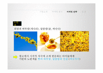 [마케팅전략] 기린(Kirin)빵 촉진전략-12