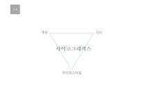 [소비자행동] 사이코그래픽스-5