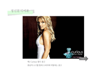 [소비자행동] 사이코그래픽스-10