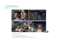 [소비자행동] 사이코그래픽스-13