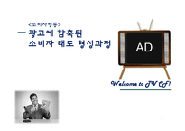 [소비자행동] 광고에 함축된 소비자 태도 형성과정-1
