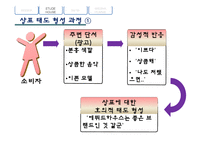 [소비자행동] 광고에 함축된 소비자 태도 형성과정-11