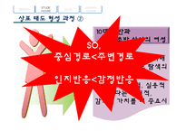 [소비자행동] 광고에 함축된 소비자 태도 형성과정-16