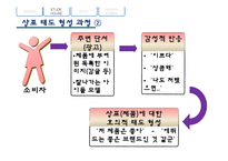 [소비자행동] 광고에 함축된 소비자 태도 형성과정-17