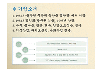 풀무원 경영전략의 분석 및 제안-1
