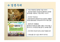 풀무원 경영전략의 분석 및 제안-3