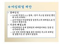 풀무원 경영전략의 분석 및 제안-12