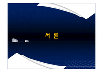 [글로벌마케팅] 삼성전자와 하이얼의 생활가전분야 마케팅-3