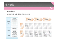 [재무관리] SM 전략 및 기업분석-4