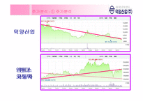 [재무관리] 덕양산업 기업분석-20
