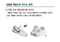 [전략적 브랜드 관리] 브랜드 경험(Brand Experience)-10