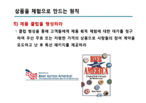 [전략적 브랜드 관리] 브랜드 경험(Brand Experience)-14