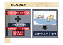 [소비자 심리] 소셜커머스의 이용 이유-19