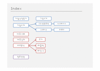 [글로벌전략] 전략적제휴 -(주)영원무역&노스페이스, LG패션&라푸마-2