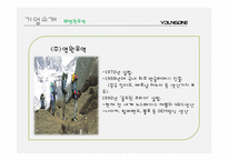 [글로벌전략] 전략적제휴 -(주)영원무역&노스페이스, LG패션&라푸마-4