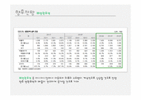 [글로벌전략] 전략적제휴 -(주)영원무역&노스페이스, LG패션&라푸마-15